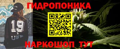 прущие крисы Среднеуральск