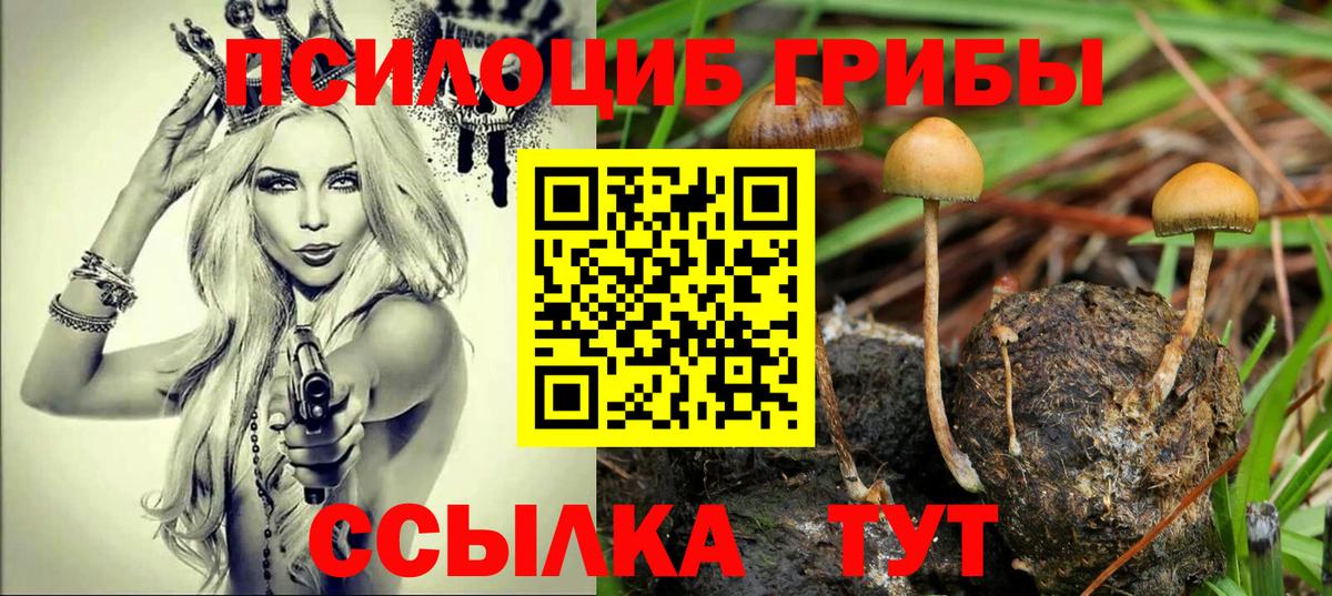 Тула  Галлюциногенные грибы Psilocybe  как найти закладки  Галлюциногенные грибы мухоморы  Вход с VPN 